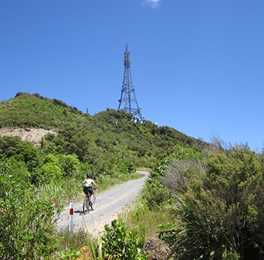 cycle trail